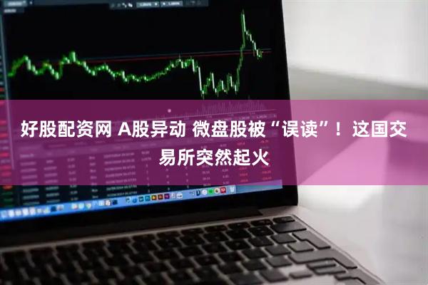 好股配资网 A股异动 微盘股被“误读”！这国交易所突然起火